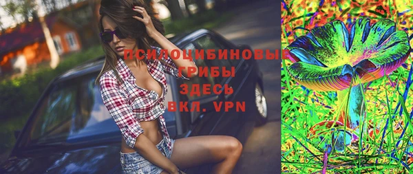 spice Белокуриха