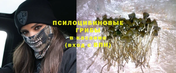 spice Белокуриха