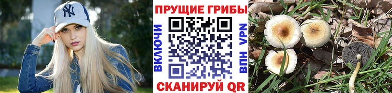 Галлюциногенные грибы прущие грибы Надым