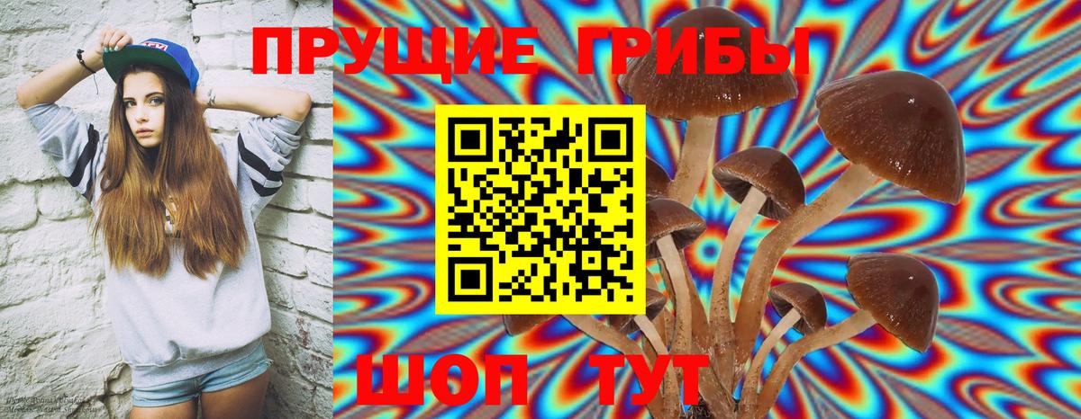 Галлюциногенные грибы Psilocybine cubensis Надым