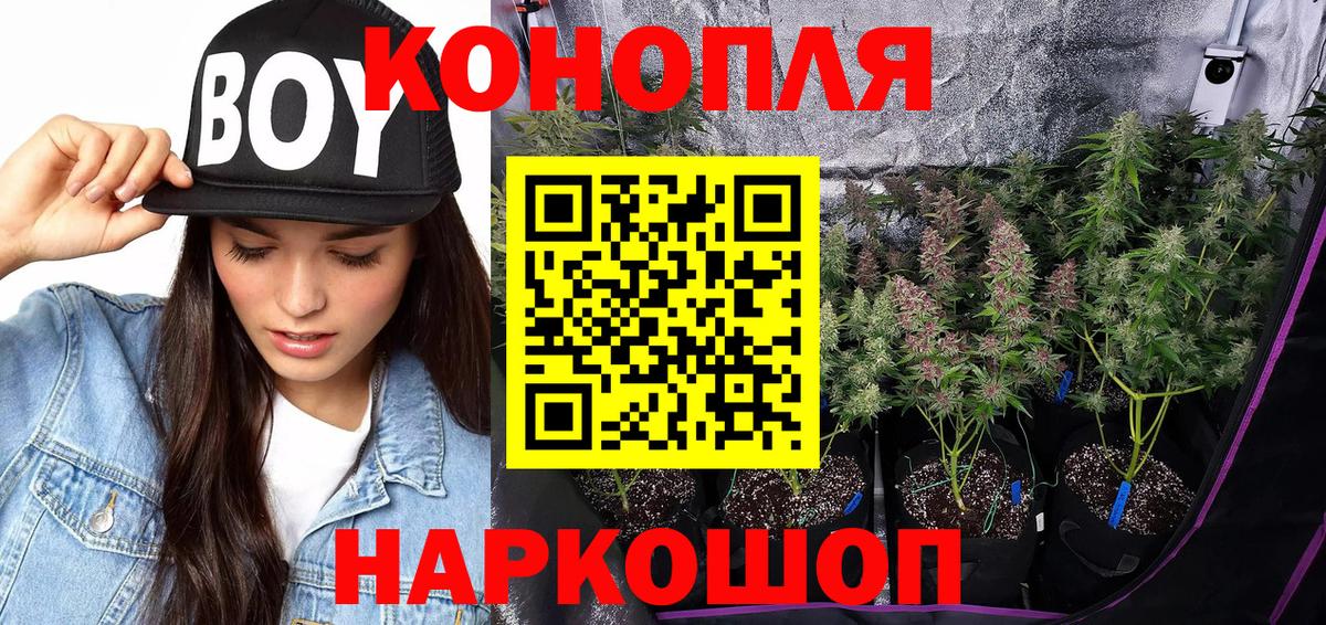 Конопля OG Kush Надым